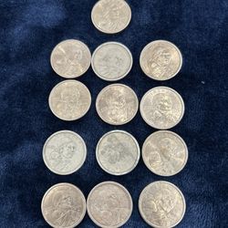 Lot Of 13 Sacagawea 2000 D / P  One Dollar Coins Circulated