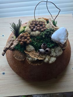 Mixed Media Preserved Moss Art Centerpiece in Natural Gourd Base