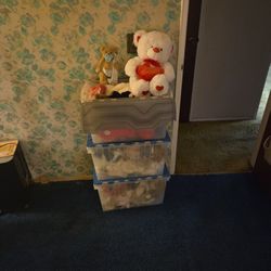 Teddy Bears