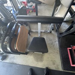 Exercise curl bench