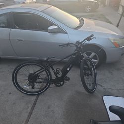 Mountain Electric Bike