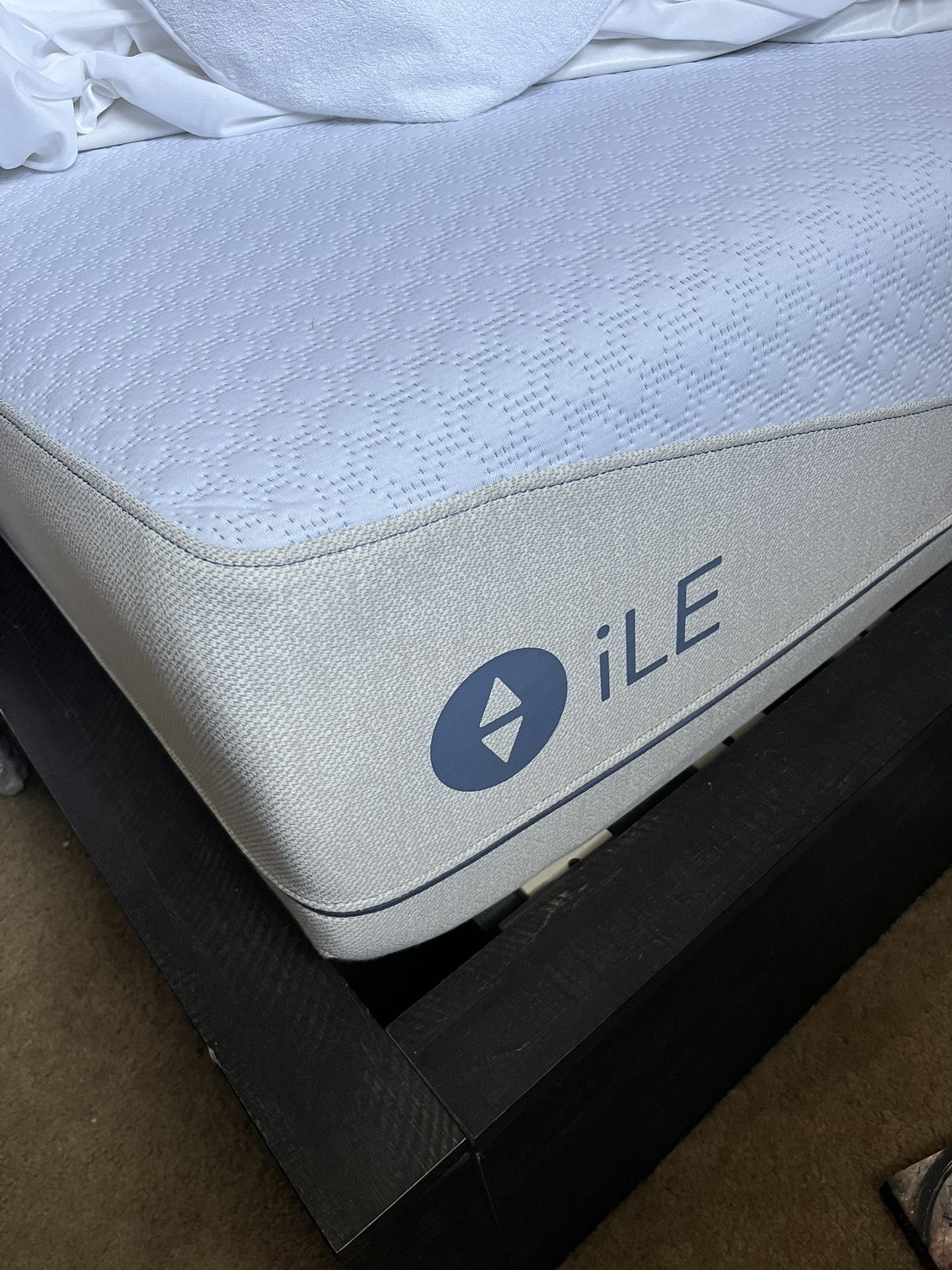 ILE 360 Sleep Number Mattress (king)