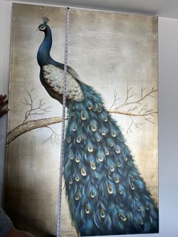 Giant Beautiful Picture Of A Peacock 