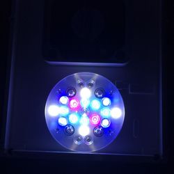 (3)Radion Xr30 Gen 2  For Sale