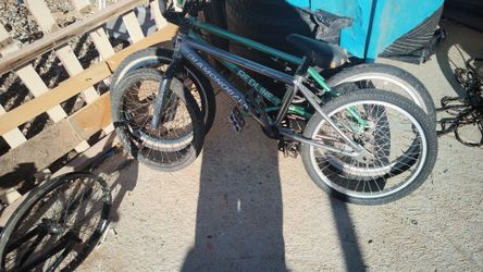 Diamondback