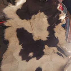 Calf Hide