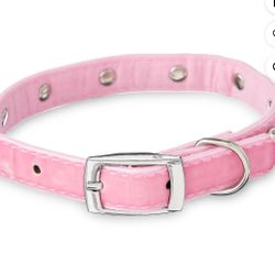 Dog Collar