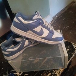 Sky Blue Dunks 