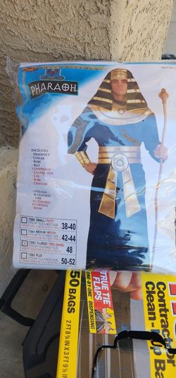 Halloween Costumes