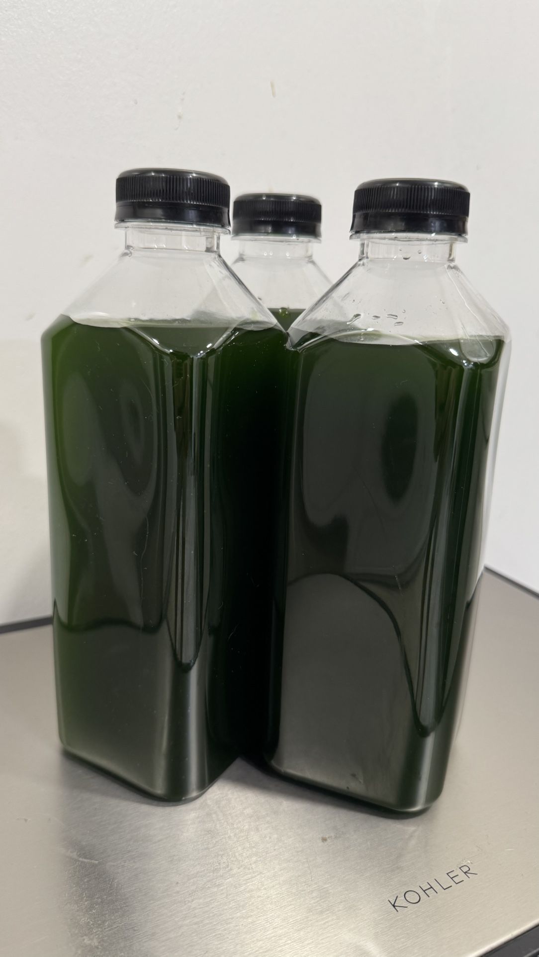 Phytoplankton, Really high concentration. 32oz