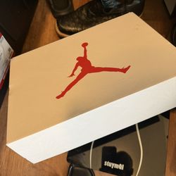 Jordan 6 Navy/white Mens 10.5