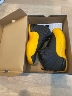 Size 9 Air jordan 12 retro