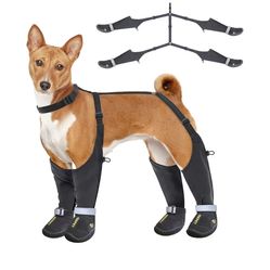Idepet Dog Suspender Boots, Anti-Slip & Fall Waterproof Tall Shoes Legging for Small Medium Dog, Adjustable Suspender Boots for Winter Snow Rain Hikin