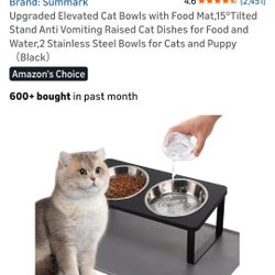 Small Elavated Cat Bowl With Mat