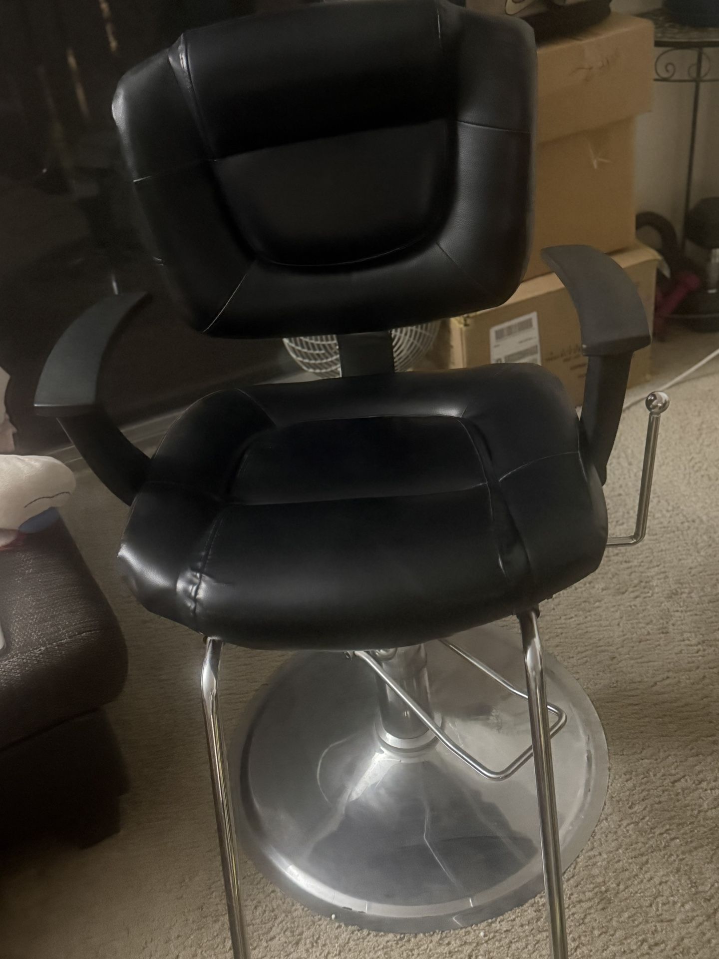 Salon Chair