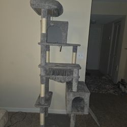 Cat Tower