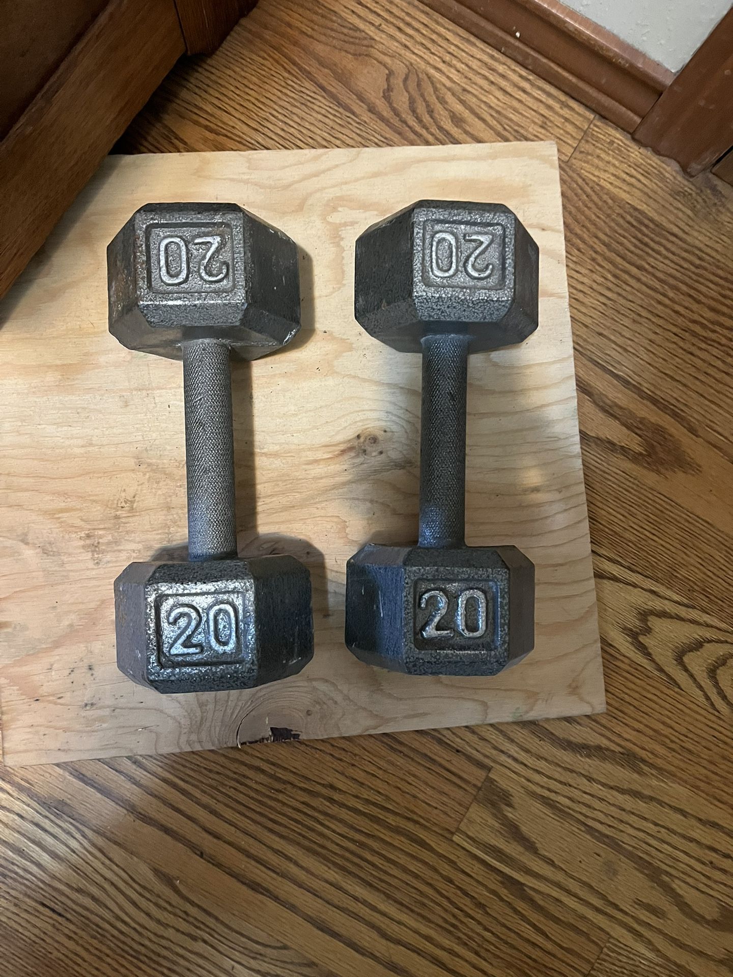 Two 20 Pound Weights