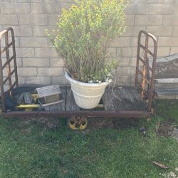 Antique postal Dolly 