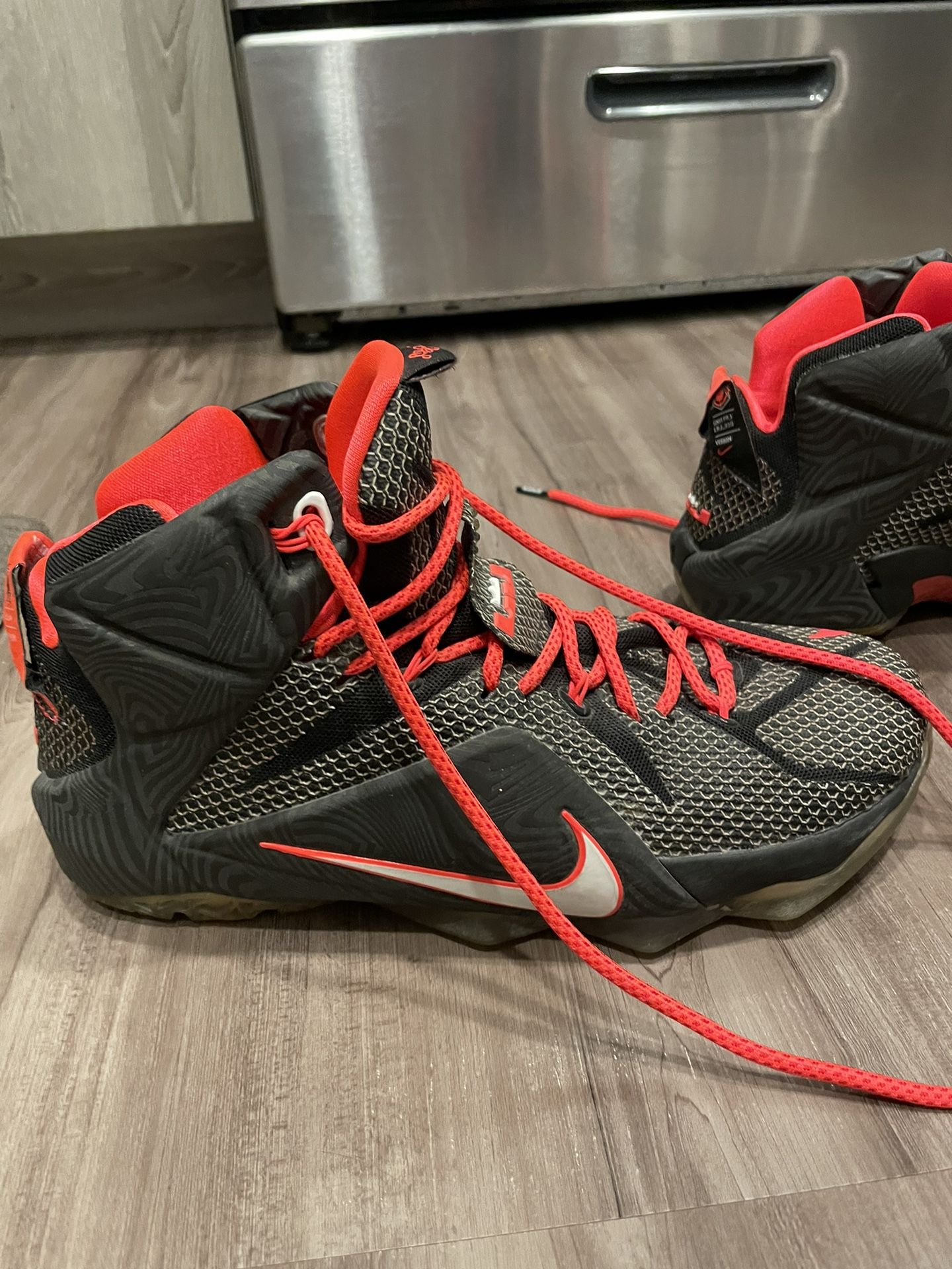 Lebron Nike Shoes 
