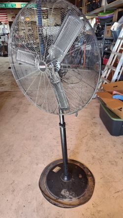 Fan