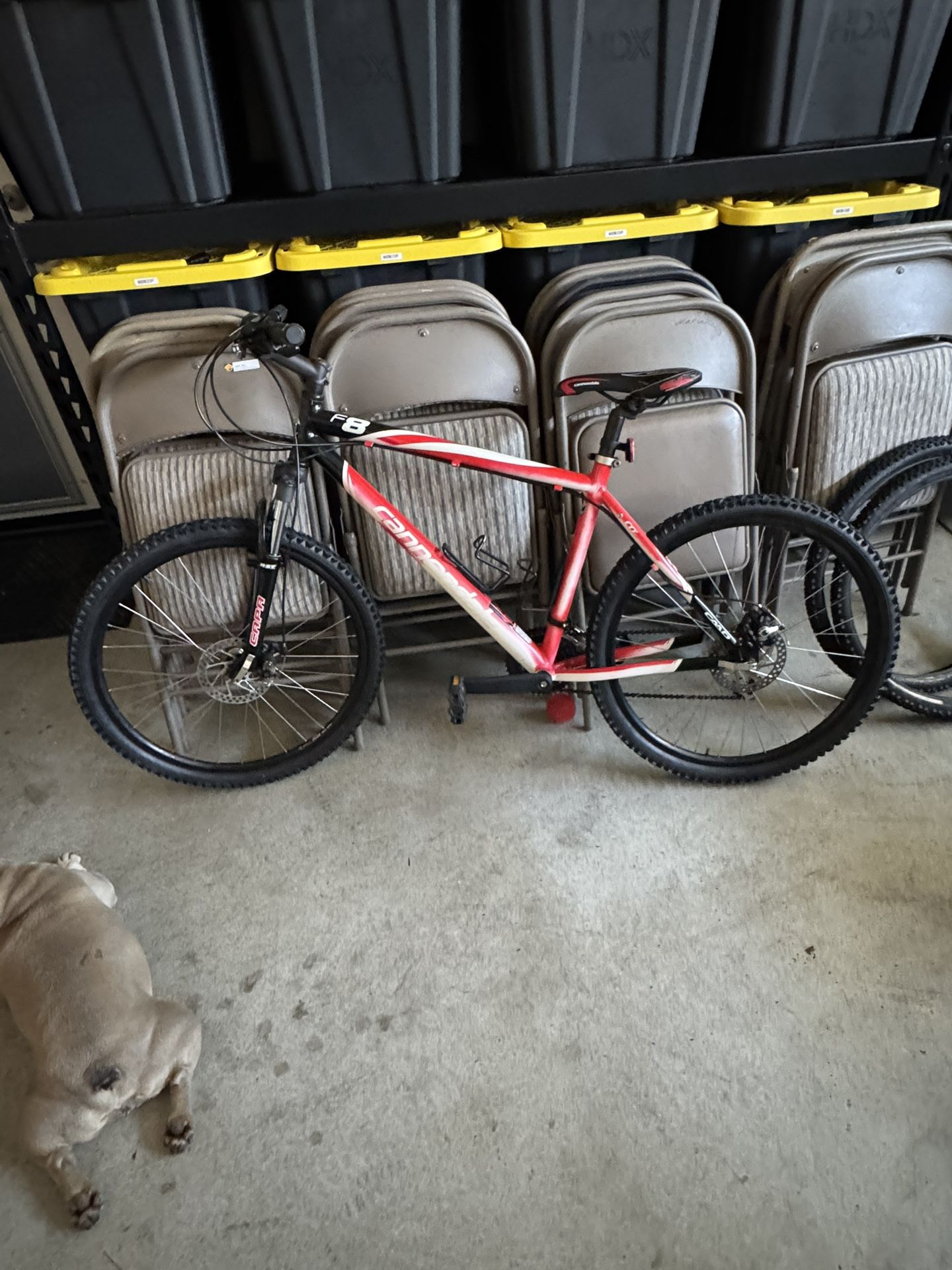 Cannondale 8 Speed Mountain Bike 26” Adult