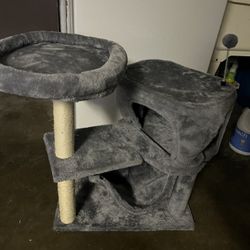 Cat Tree 