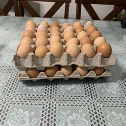 Chicken Eggs 