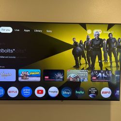 Sony Bravia 65” TV And Wall Mount