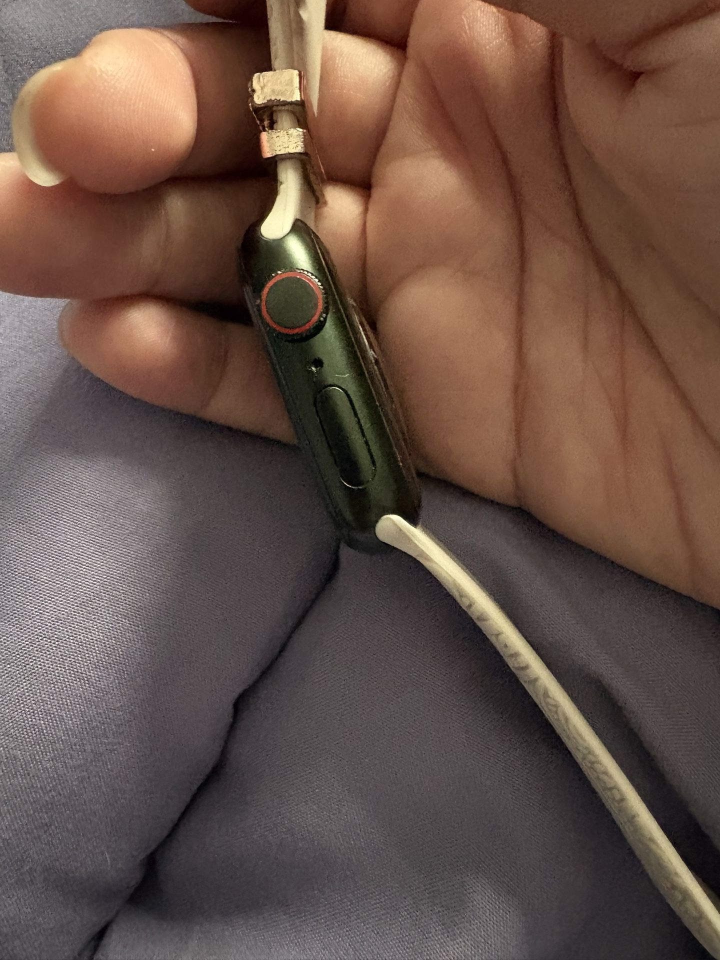 Apple Watch Series 7
