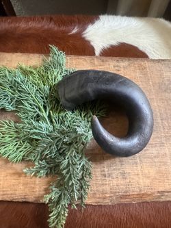 Water Buffalo Horn