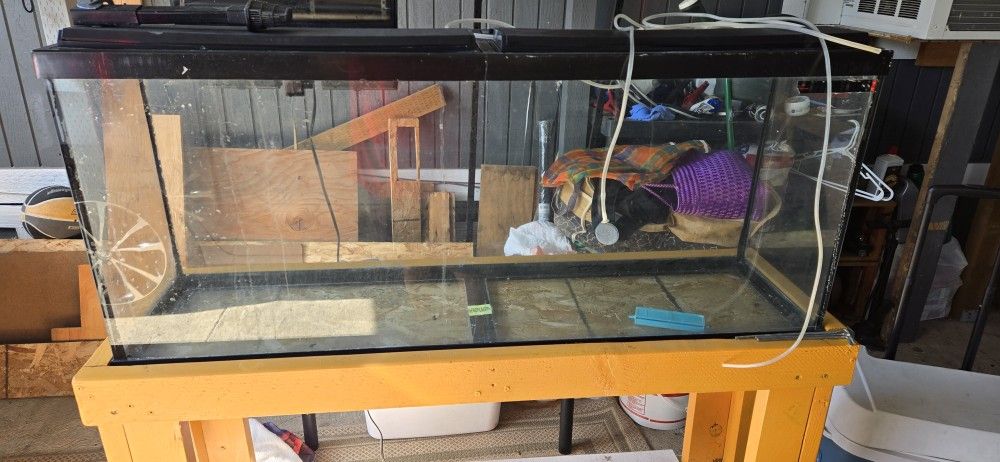 55-Gallon Aquarium Tank With Custom Stand