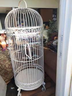 Parrot Cage (antique)
