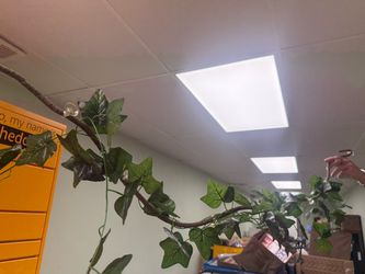 Artificial Ivy Vine Garland with Branches