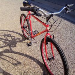 GIANT IGUANA MENS VINTAGE ATB MTN BIKE REFURBISHED OBO