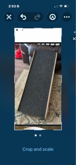 Dog ramp