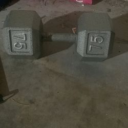 75LB Dumbell