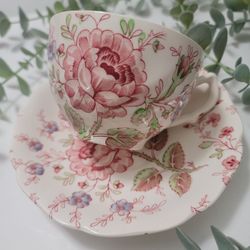 Johnson Brothers Rose Chintz Tea Cup And Saucer For Sale 