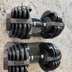 Bowflex 552 Adjustable Weights 