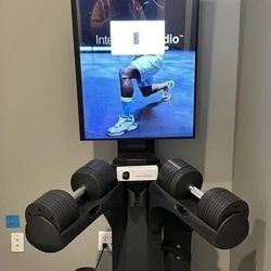 Jaxjox Interactive Studio 