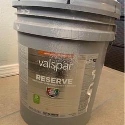 5 Gallon Paint (Grey Screen)
