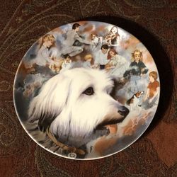 Collector Plate