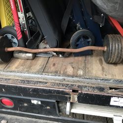 Olympic Curl Bars