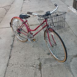 Schwinn, Suburban 10 Speed 