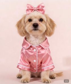 Pj's for dogs