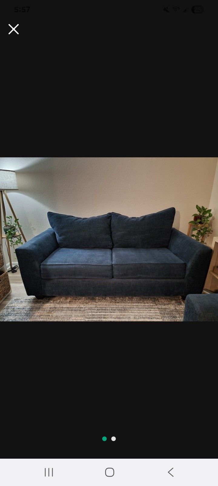 Sofa Set - Sofa and Loveseat