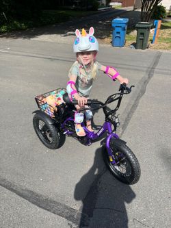 E Bikes and Trickes new