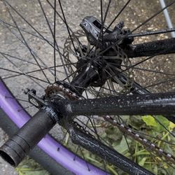 MANIACC FLYER TRADES/CASH