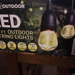 LED Lights String $30