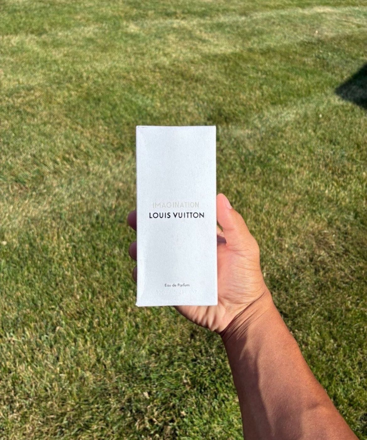 LV Imagination