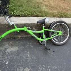 WeeRide Co-Pilot Bike Trailer Green